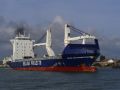 Beluga recommendation - saint nazaire - 10 septembre 2010 (02).JPG